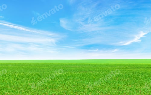 Preview: Summer landscape with a vast green field under a majestic sky