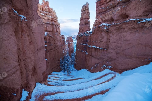 Preview: Winter Bryce