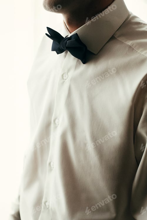 Preview: Torso of Man in Shirt and Bowtie