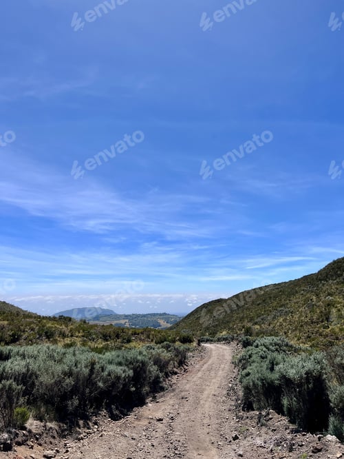 Preview: Mount Kenya Lake Ellis Kenya Landscapes Panoramic scenic Views Plants Vegtations