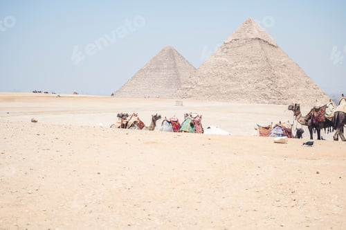 Preview: Aerial view of camels in desert in background of pyramid