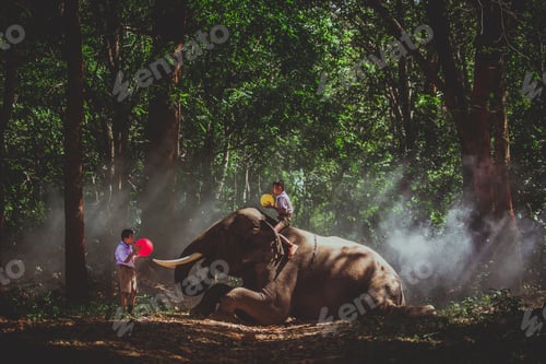 Preview: Elephant and school boy in Thailand