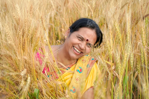 Preview: Beautiful young Indian woman wear in saree at the wheat field