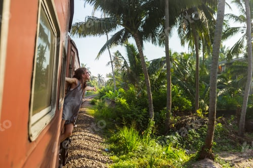 Preview: Girl in train