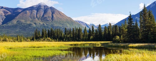 Preview: Lake on Alaska