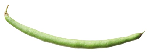 Preview: One green beans pod isolated on white
