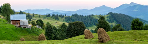 Preview: Village houses on hills with green meadows in summer day.
