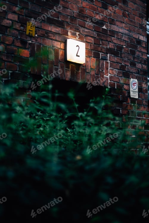Preview: Vertical shot of plants against a brick wall with number 2 on it