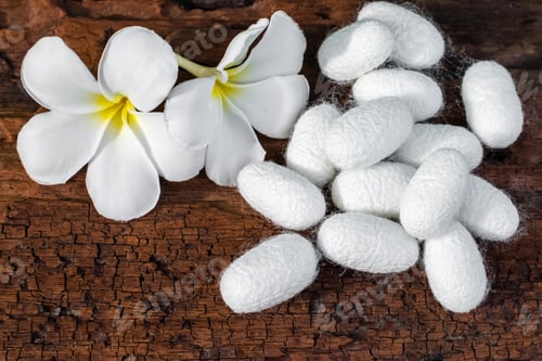 Preview: white silk cocoon, silky, fiber