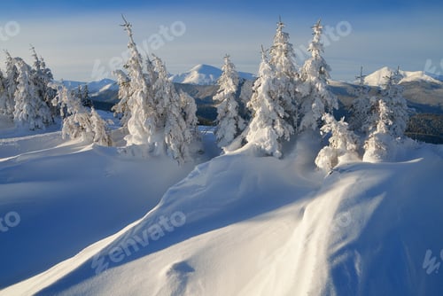 Preview: Winter wonderland
