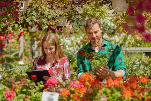 Preview: Gardeners doing paperwork