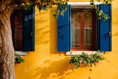 Preview: Windows with blue shutters of yellow colored dwelling with planters