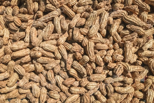 Preview: Top view of Peanuts (Arachis hypogaea). Food background.