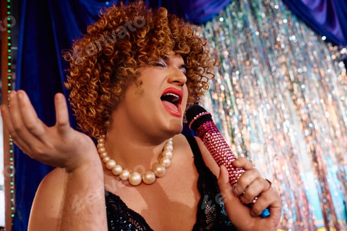 Preview: Bold drag performer captivates audience with dazzling holiday show on stage