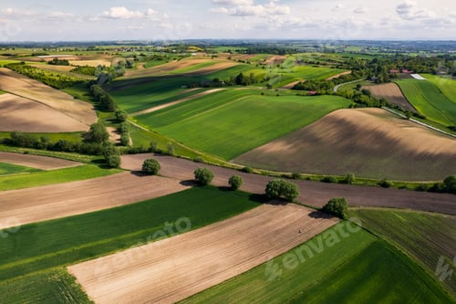 Preview: Colorful rural Landscape at Spring. Agriculture Crop Pattern.Drone View.