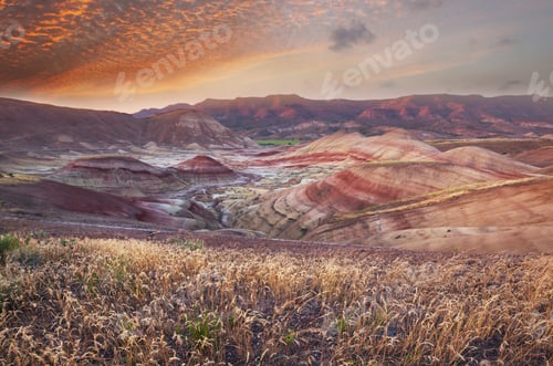 Preview: John Day Hills