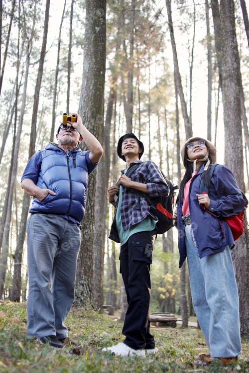 Preview: Group of Hikers