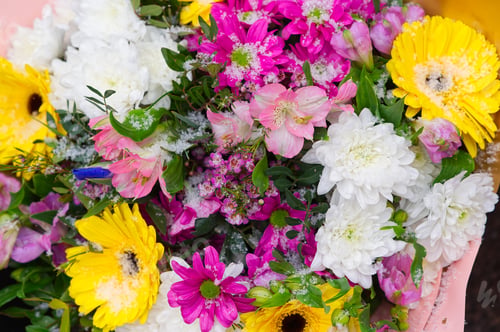 Preview: Mixed colorful flowers background. Vibrant colors of gerbera, tulips mix of summer flowers bouquet