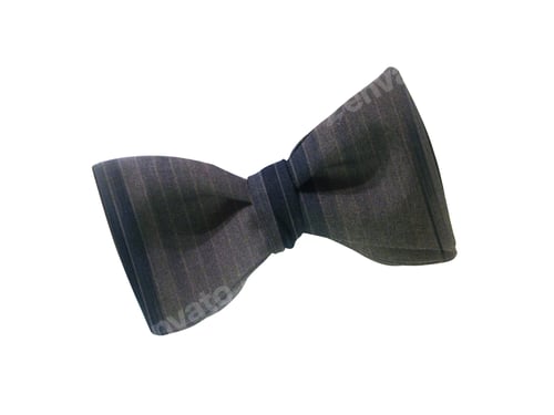 Preview: Striped Bow Tie on White Background