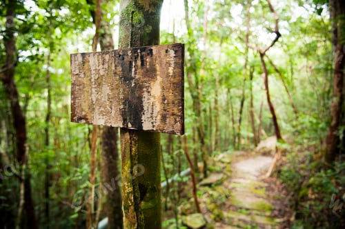 Preview: Empty Sign Post In Jungle