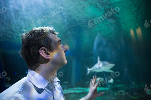 Preview: A man looking at a shark exhibit in an aquarium