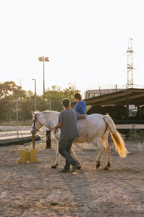 Preview: Child with disabilities has an assisted equine therapy session at an equestrian center.