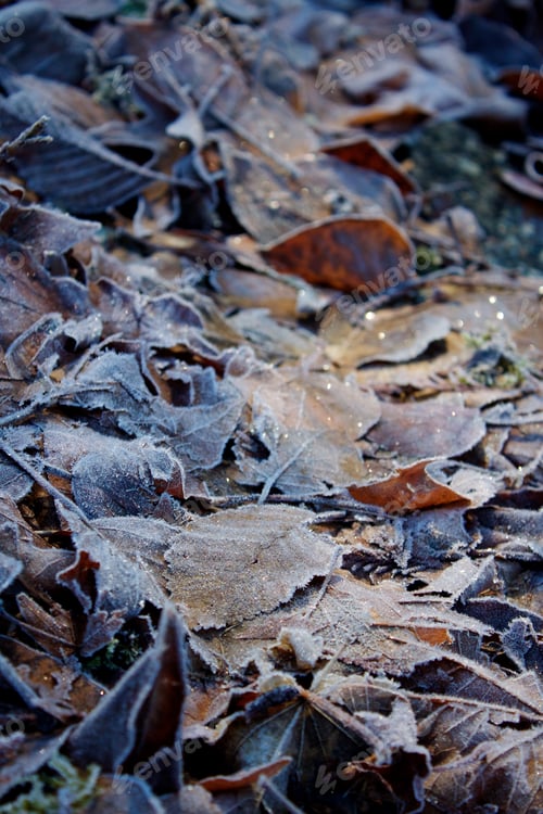 Preview: Sparkly Leaves