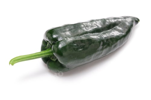 Preview: fresh Mexican poblano chile isolated on white background
