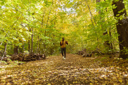 Preview: Male student walking in the park in autumn season