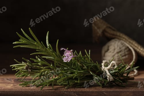 Preview: Closeup shot of green rosemary on the table with a blurred background