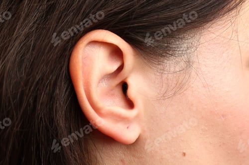 Preview: Sound. Closeup view of woman's ear and skin