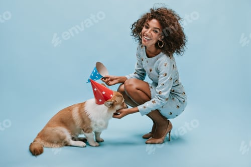 Preview: Beautiful lady with brunette hairstyle in blue clothes and heels posing with corgi in holiday cap o