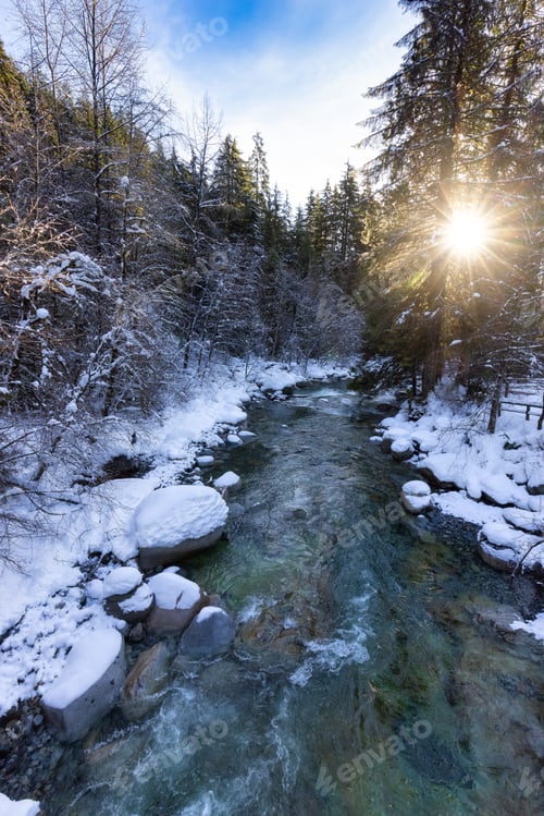 Preview: River in Canadian Nature, Trees in Forest, Winter Snow, Sunny Sky