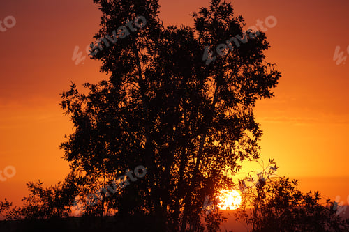 Preview: sun