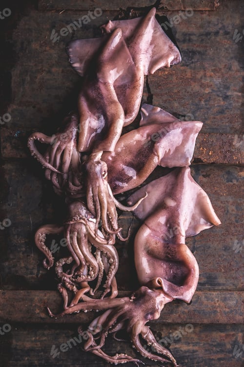 Preview: Seafood squid calamary. Fresh Raw Whole Squid with Tentacles on Rustik Background. Top View.