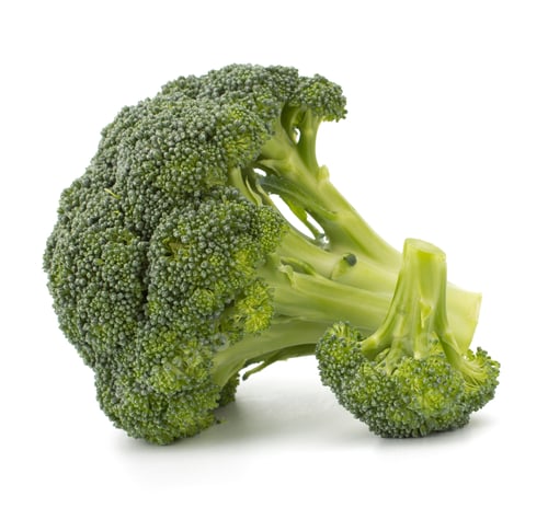 Preview: Broccoli vegetable isolated on white background