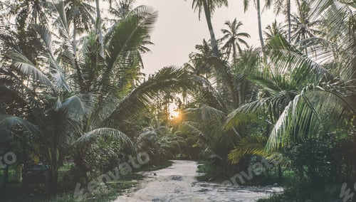 Preview: Road on tropical island - vintage retro style