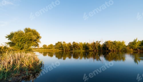 Preview: Scenery of silent rural lake near green forest