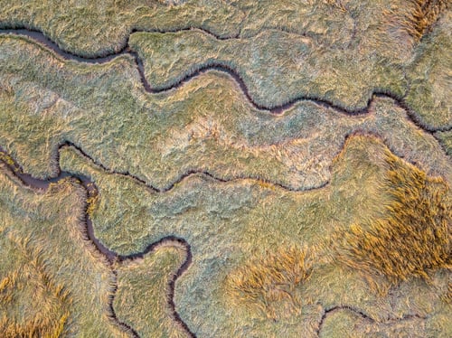 Preview: Aerial view of tidal marshland