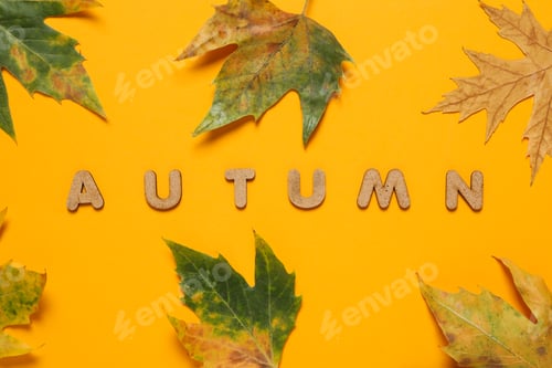 Preview: Word Autumn and leaves on orange background