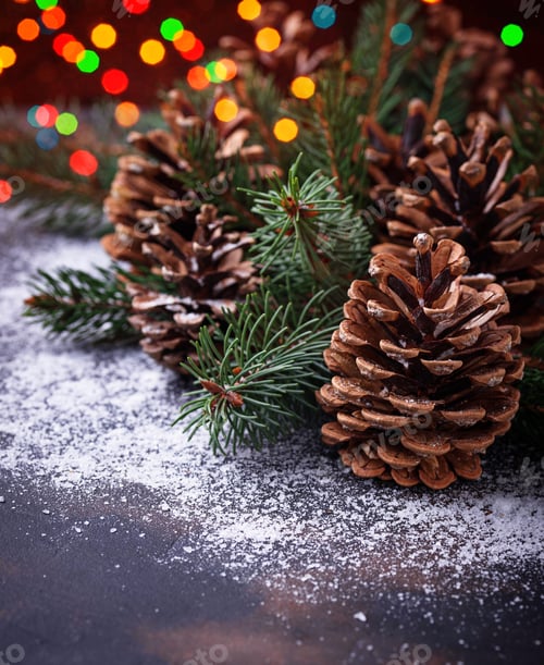 Preview: Pine cones and fir branches.