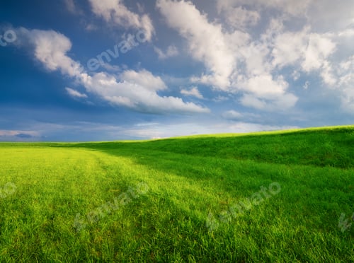 Preview: Minimalistic landscape. A clouds before a storm. Field and pasture for animals.