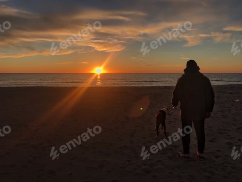 Preview: Man with dog at the sunset
