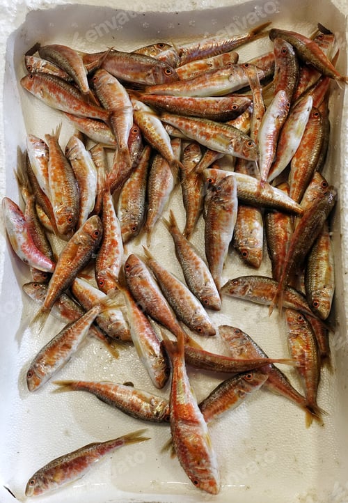 Preview: Fish Food in a Fish Market Stand