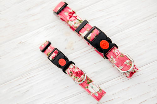 Preview: Dog Collar and Leash set. Pet Supplies and Walking Gear Collection