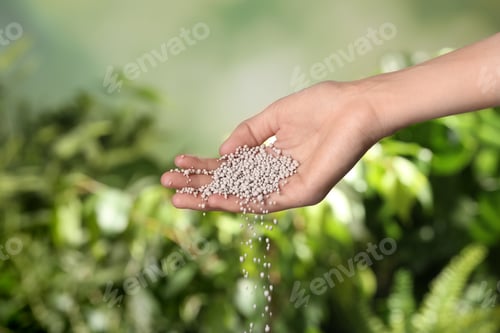Preview: Woman pouring fertilizer on blurred background, closeup with space for text. Gardening time