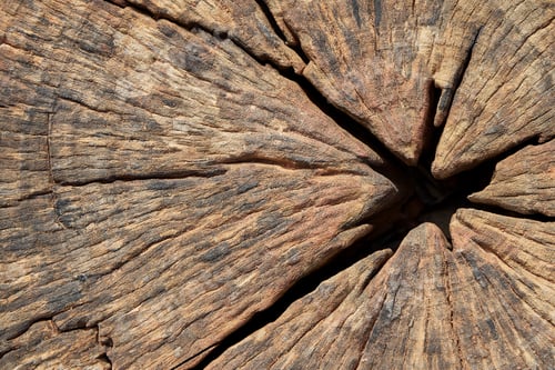 Preview: Close up of old wood texture for background