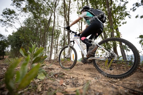 Preview: Woman cyclist cycling on mountain top forest trail