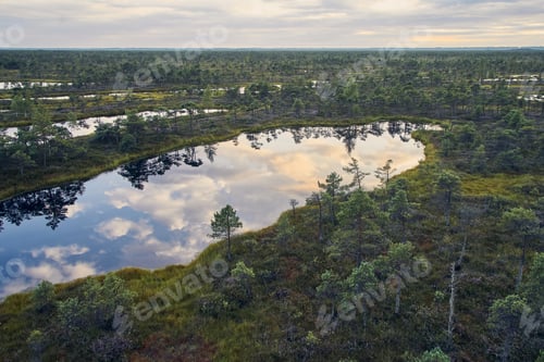 Preview: Raised bog, view from above. Kemeri National park in Latvia.
