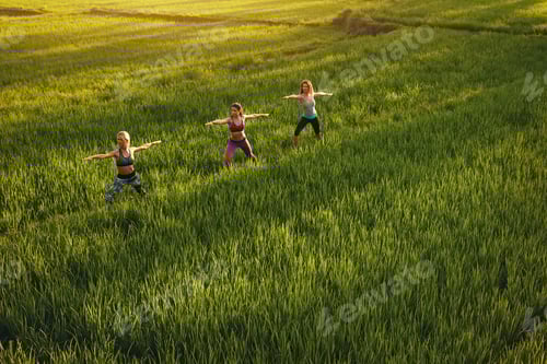 Preview: Women Practicing Yoga Outdoors in a Green Field